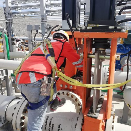 WhatsApp Image 2024-08-07 at 23.30.13